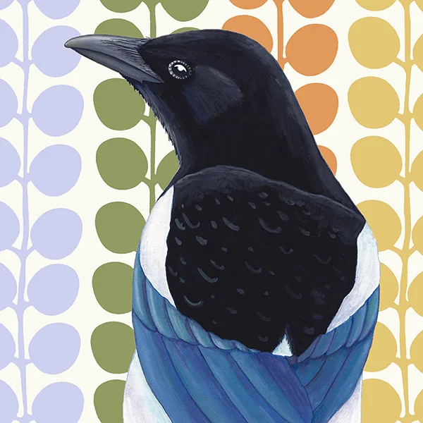 magpie.jpg