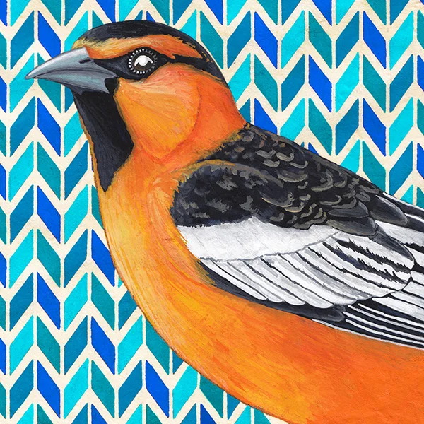 bullocks_oriole.jpg