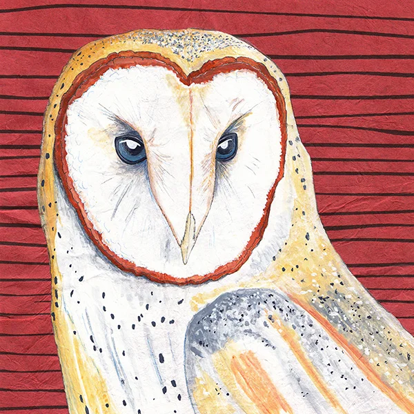 barn_owl_red.jpg