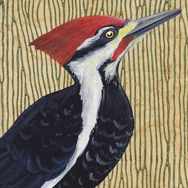 pileated_green.jpg