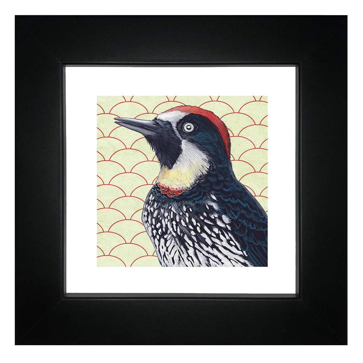 acorn_woodpecker_framed.jpg