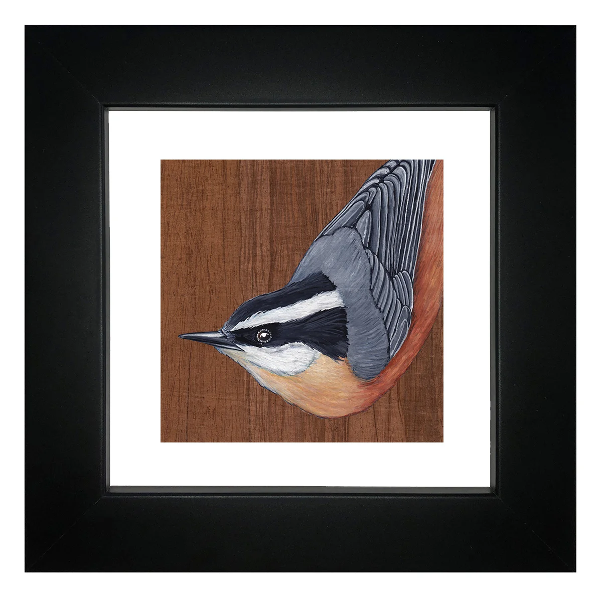 nuthatch_framed.jpg