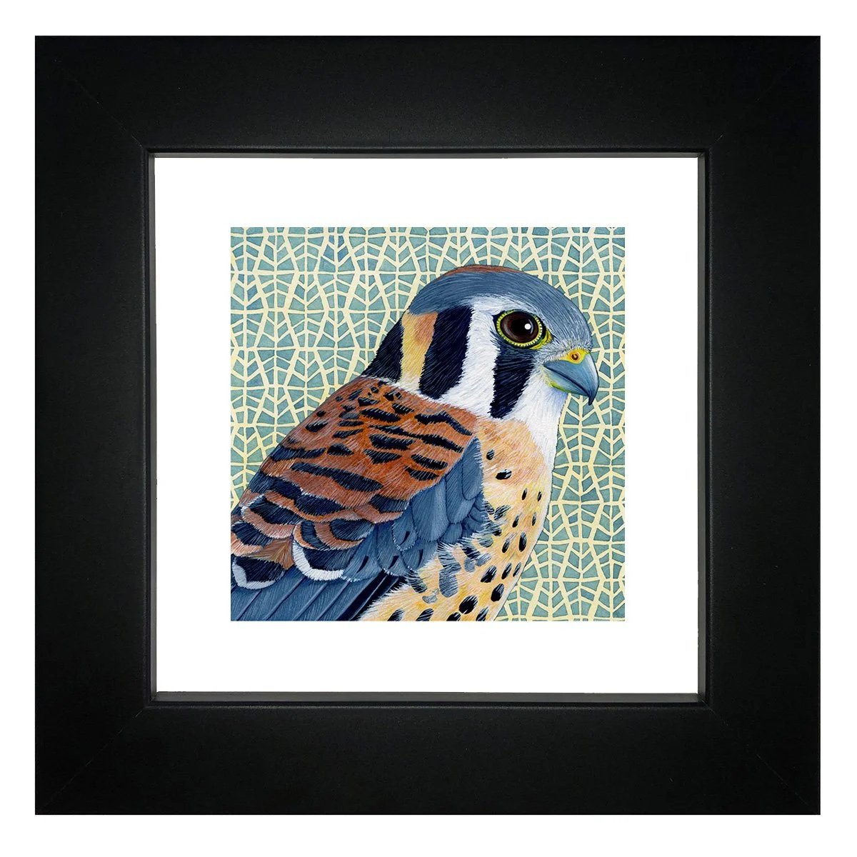 kestrel_framed.jpg