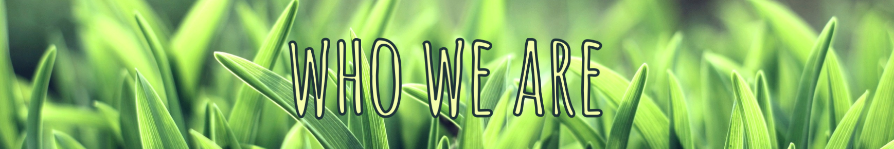 Banner Who We Are.png