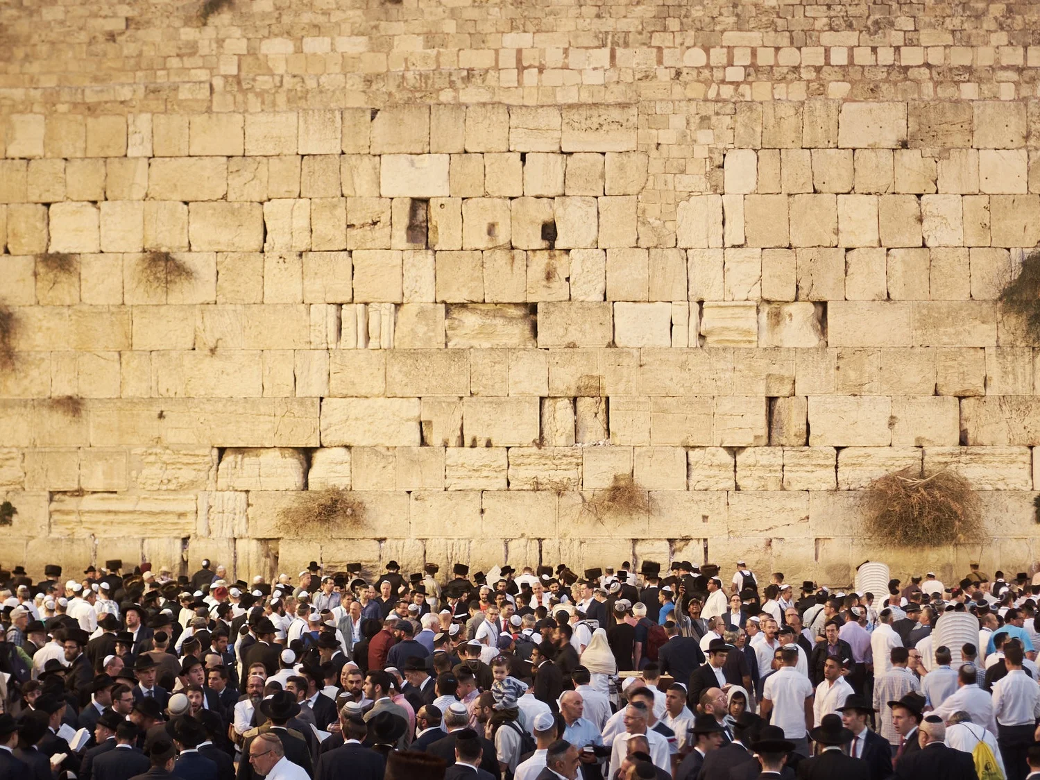 To Hate the Jews Is to Hate Jesus