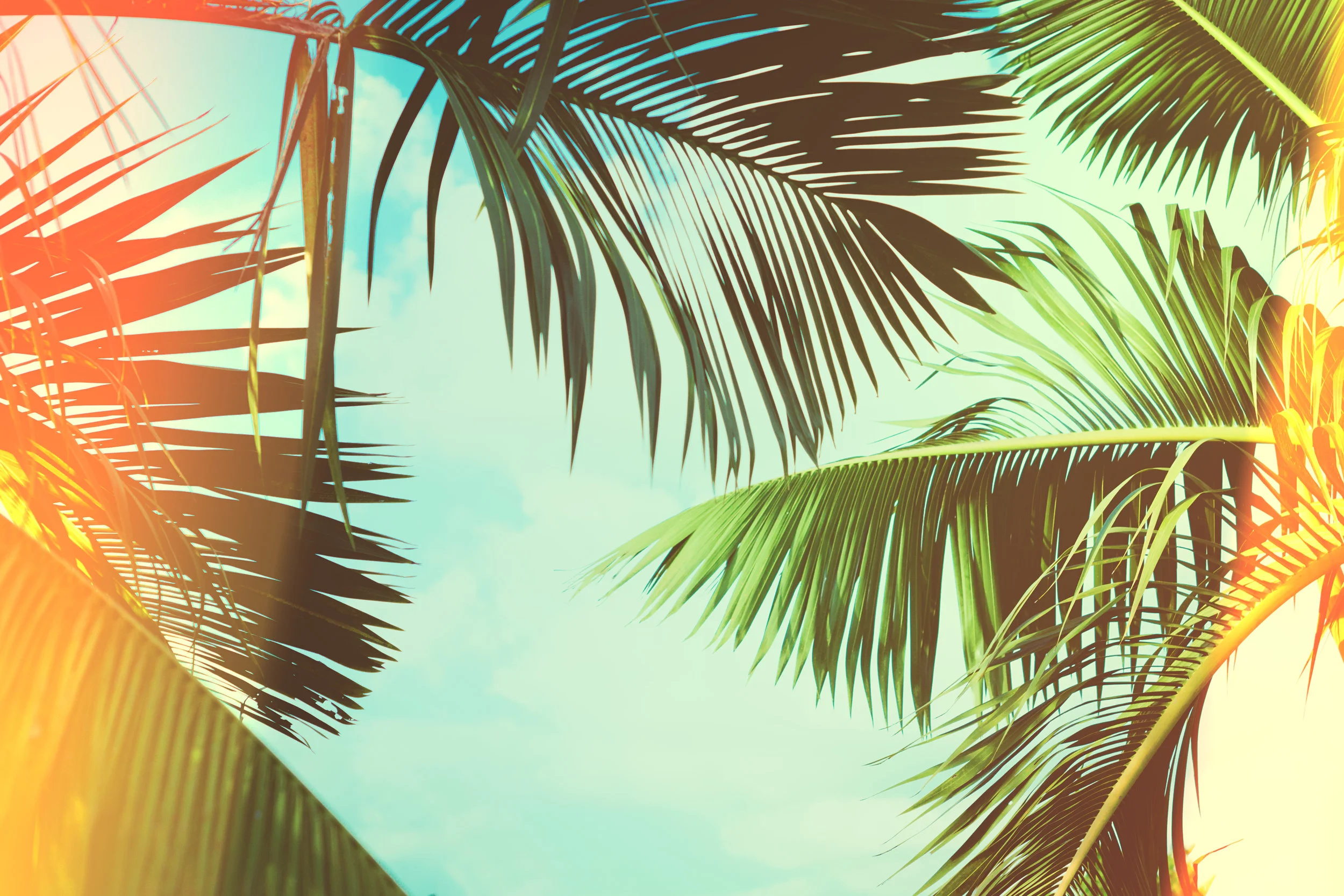 iStock-858987092.jpg