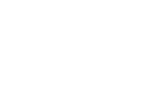 THE BDSM COACHES