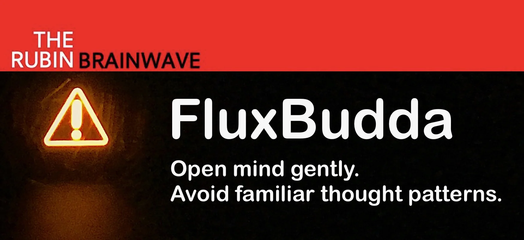 FluxBuddha_VW.jpg