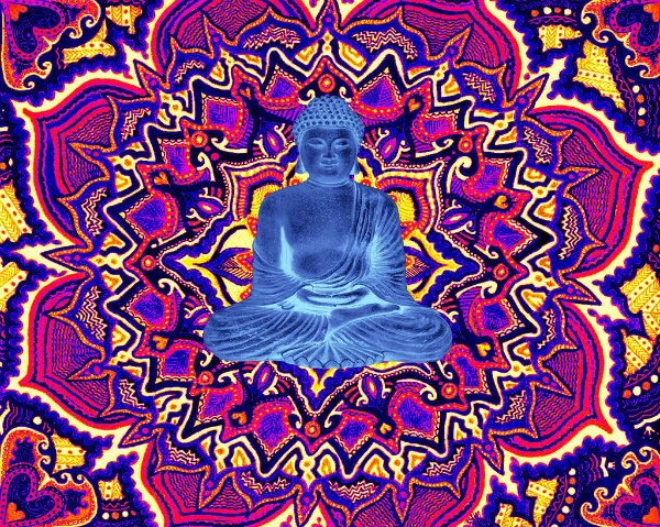 Meditating on Psychedelics