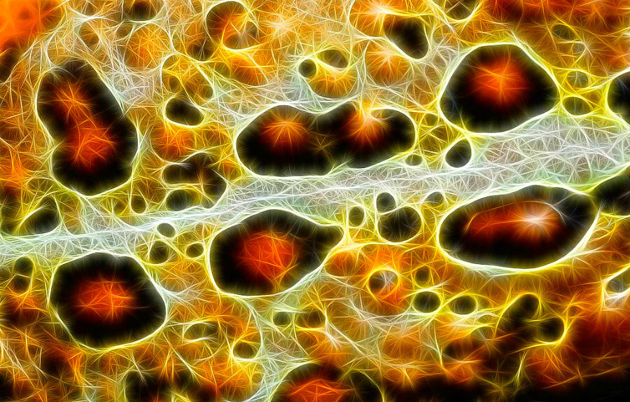 Toad Skin Fractalius by Andrew McLachlan.