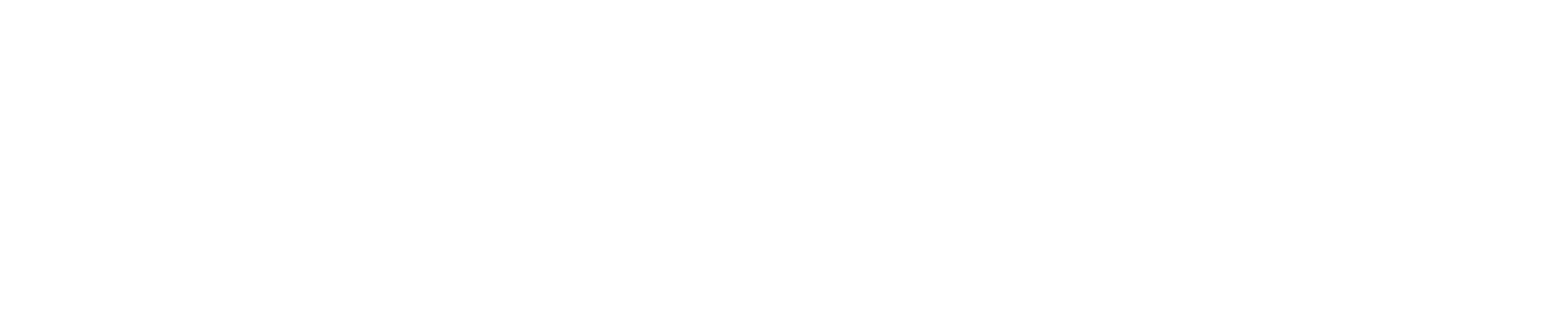 MAIN-LOGO-SOLOTECH-White.png