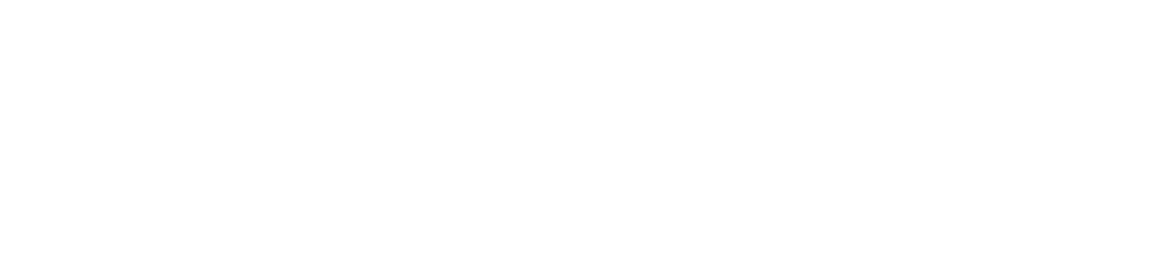 PPI LOGO Tag Line WHT.png