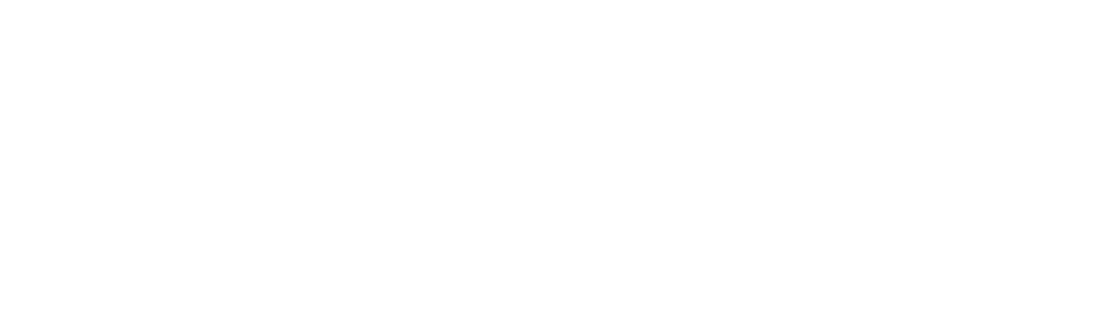 ses-white.png