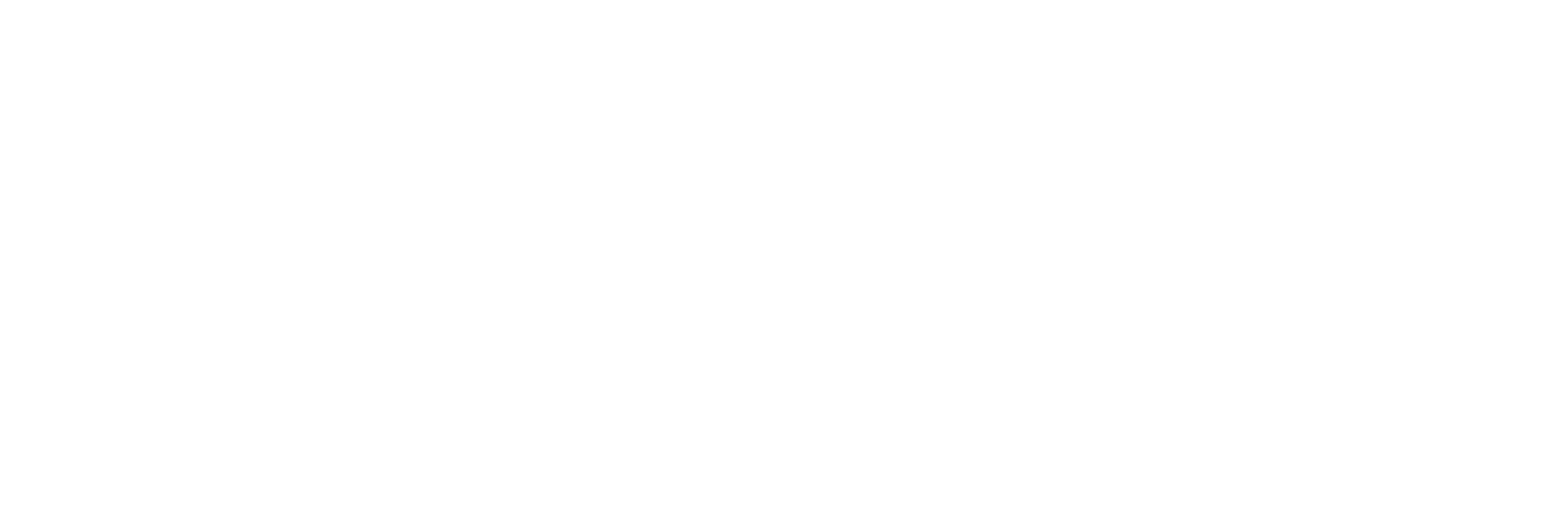 Schauer Group Logo_Simplewhite.png