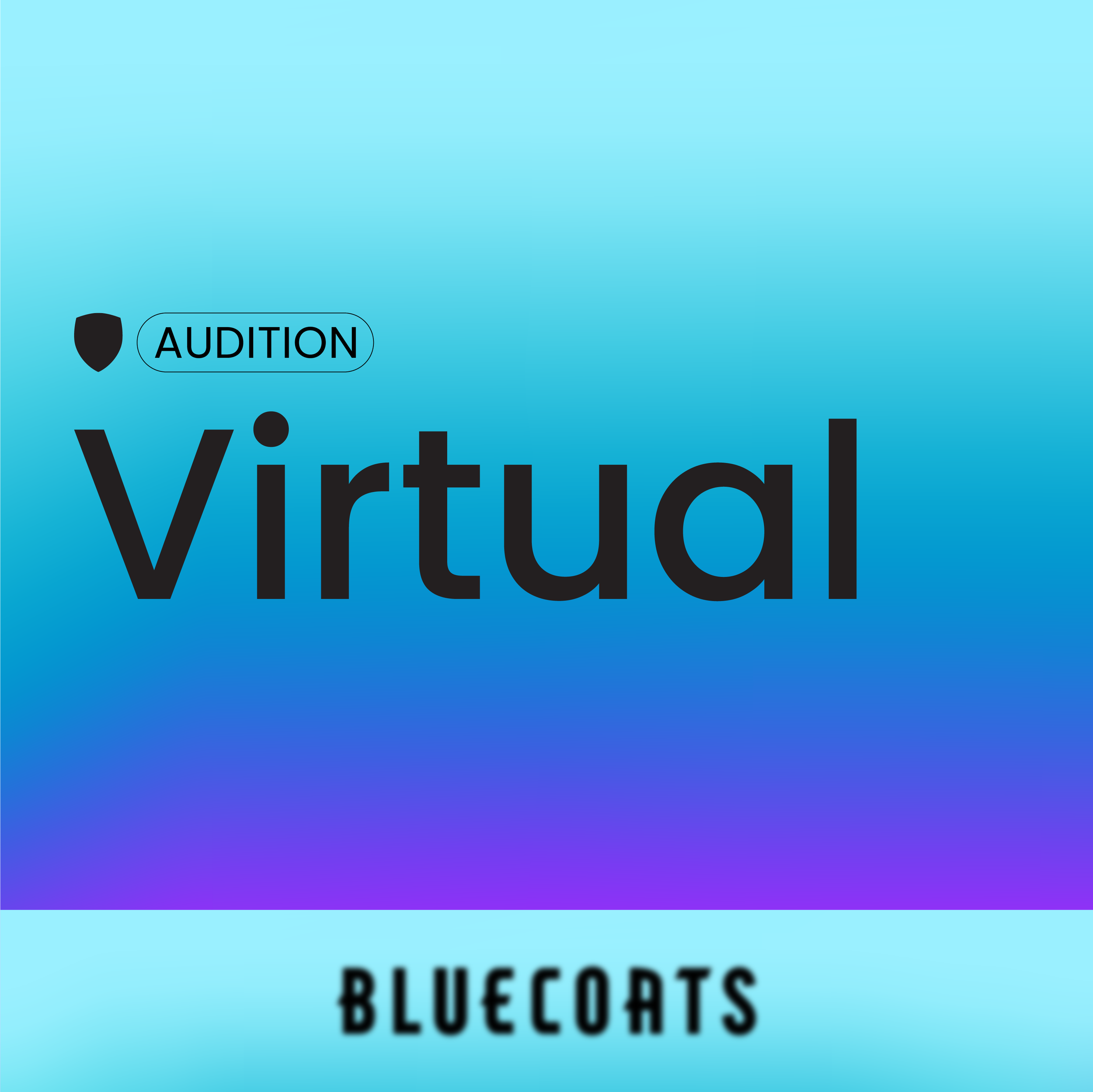 Bloo27 Virtual Auditions