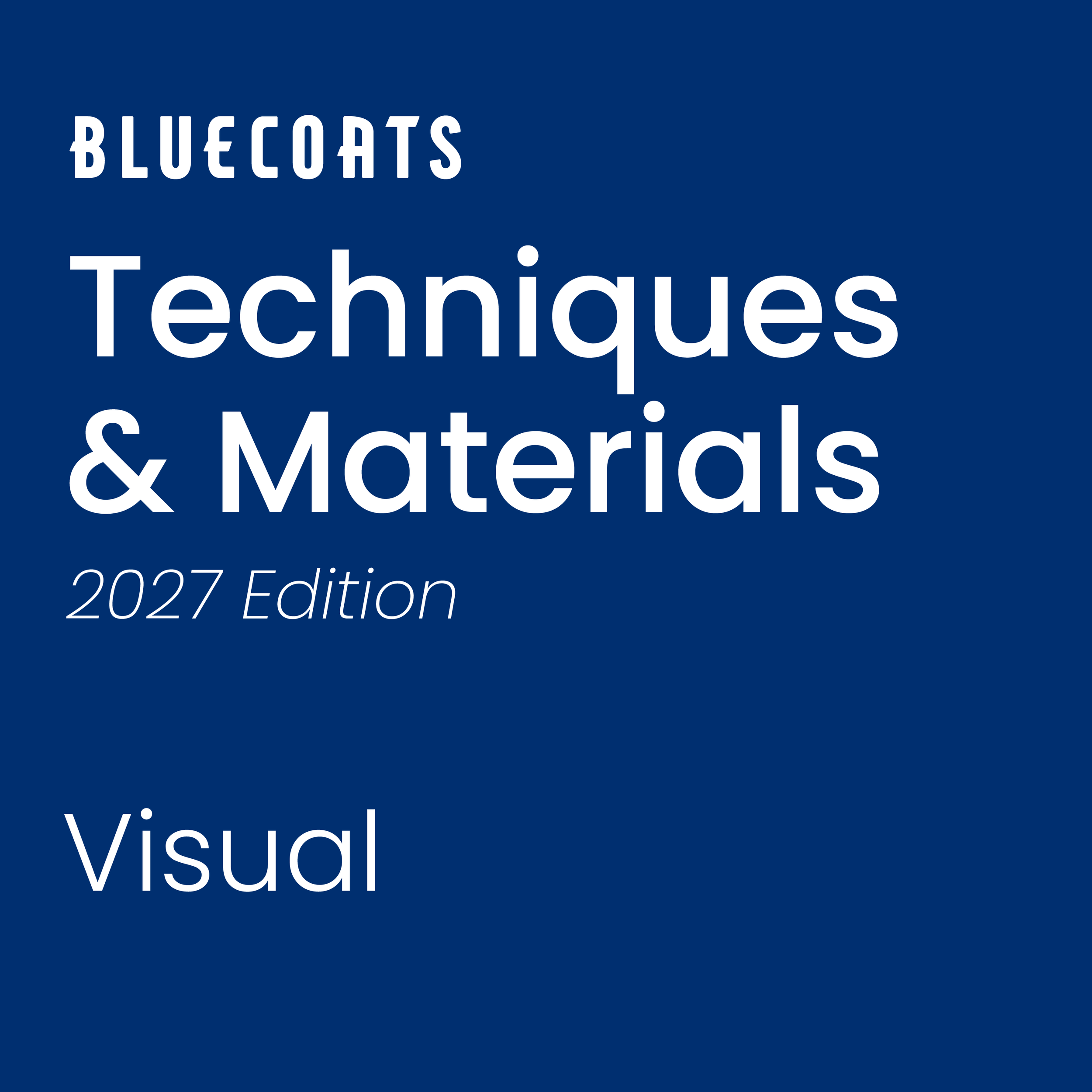 Bloo27 Techniques & Materials - Visual