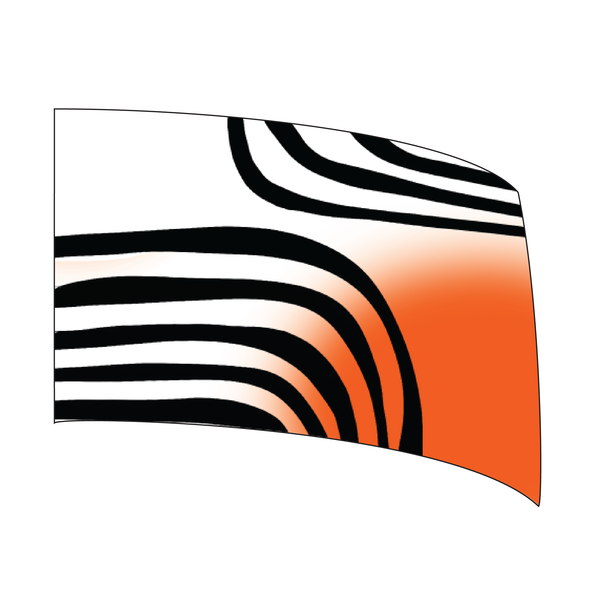 silks_White w Orange Burst and Black Waves.png