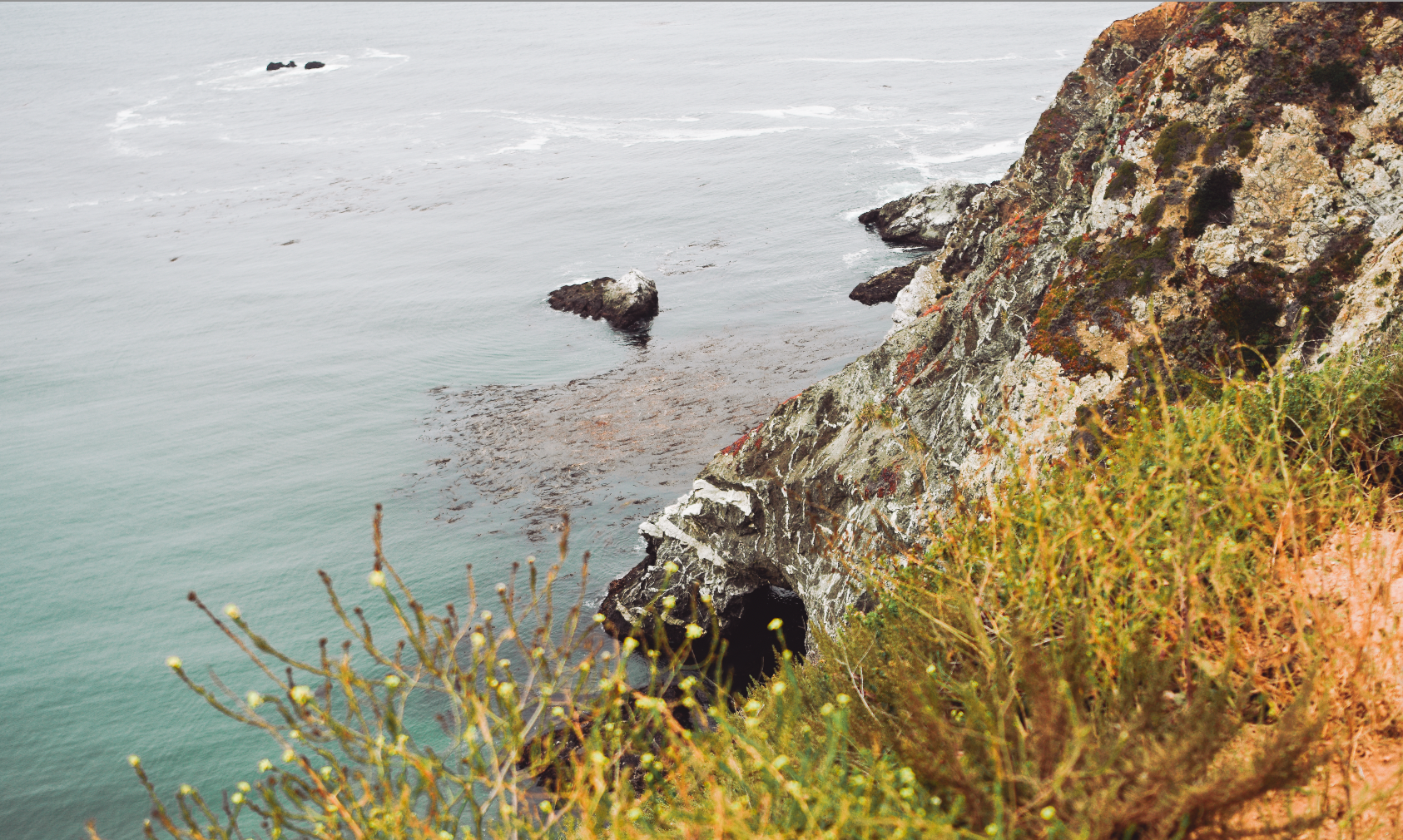 Screen Shot 2021-05-01 at 6.59.41 PM.png