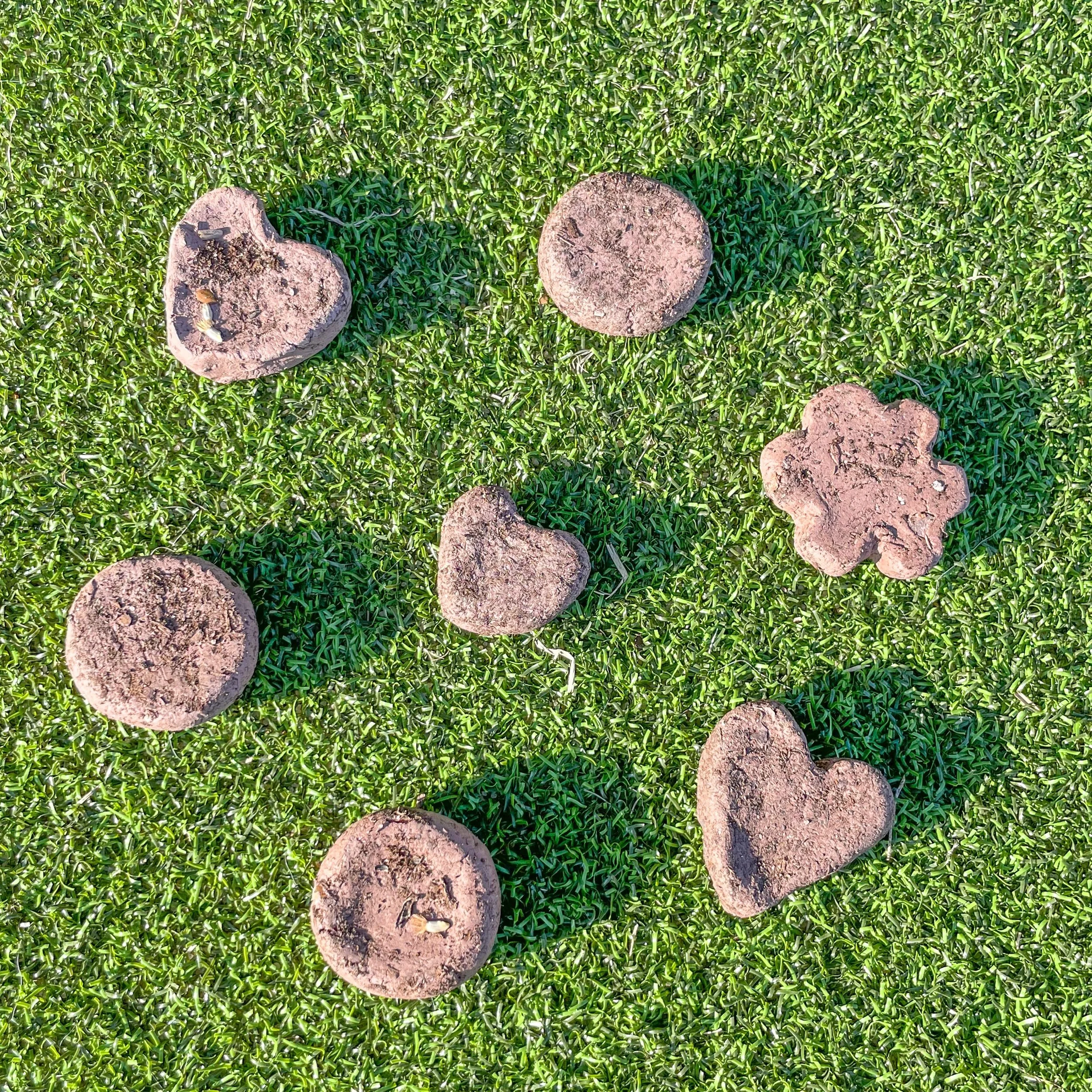 DIY Seed Bombs