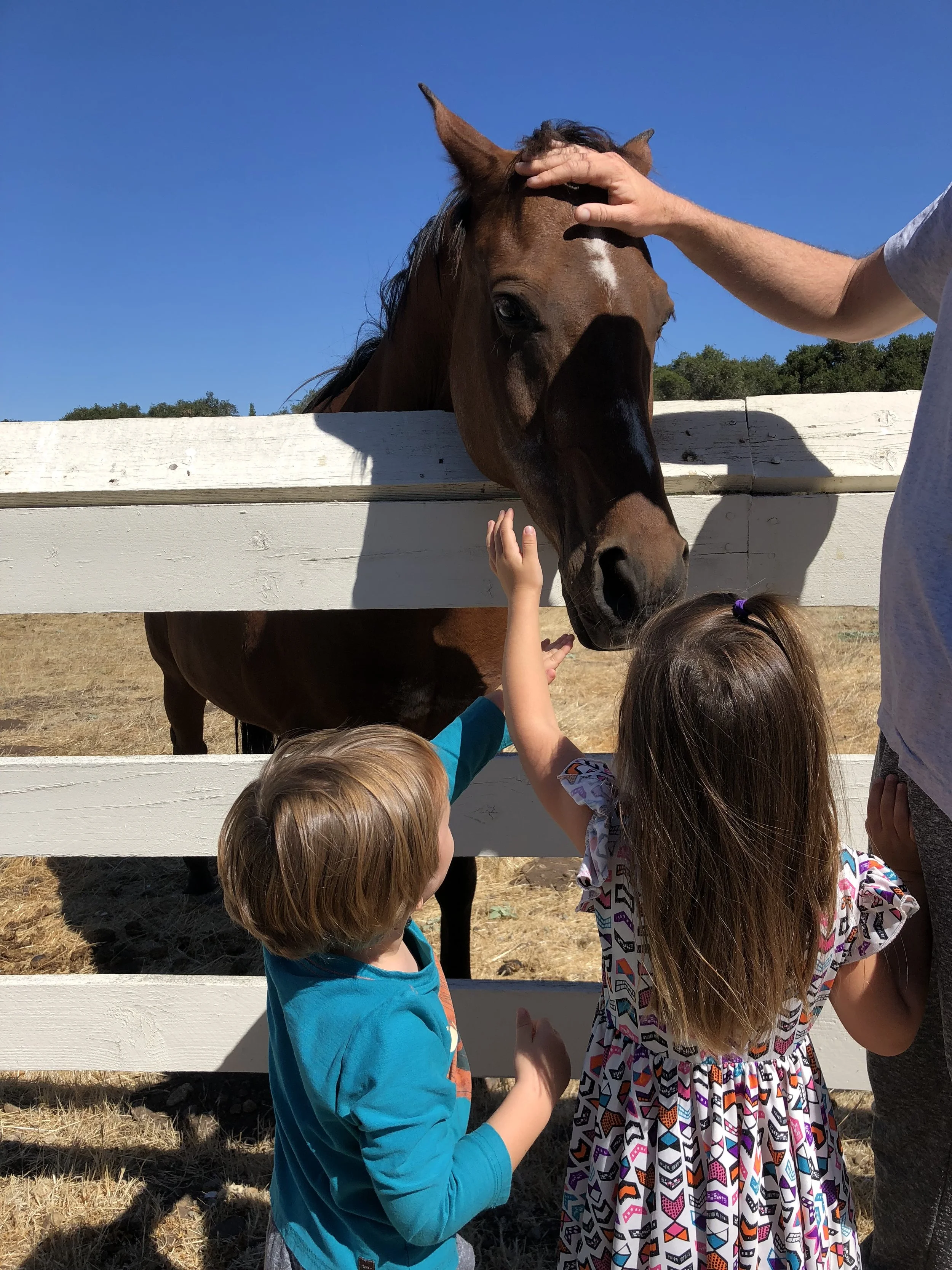 Typical Day in Carmel Valley