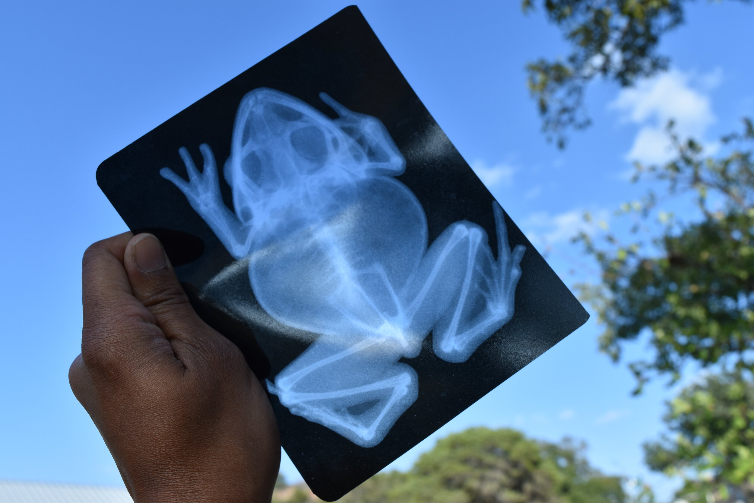 Think Outside the (Music Library) Box