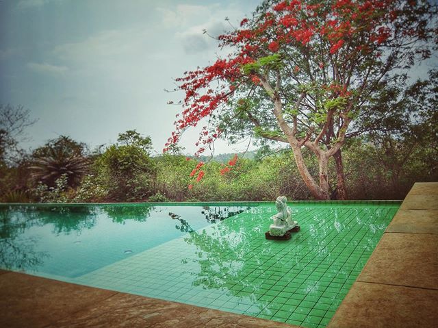 Take the plunge in our pool at #villapanchavatti 🦚 Summer deals on - enquiry now! .
.
.
#goatravel #incredibleindia🇮🇳 #avanilaya #luxuryvilla #luxurypool #goaindia #vacationgoals #travelgoa #villarental #boutiqueresort