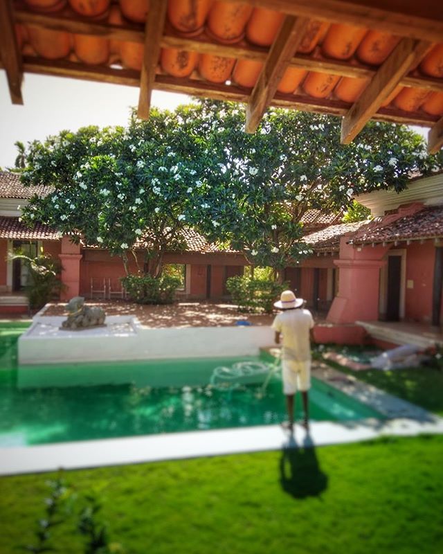 Behind the scenes at Avanilaya. Our incredible staff is part of what keeps this place a cut above the rest. Book your stay now! Details in bio link. .
.
.
#villarental #boutiquevilla #luxuryvilla #goatravel #goaindia #getaway #frangipani #courtyardpo