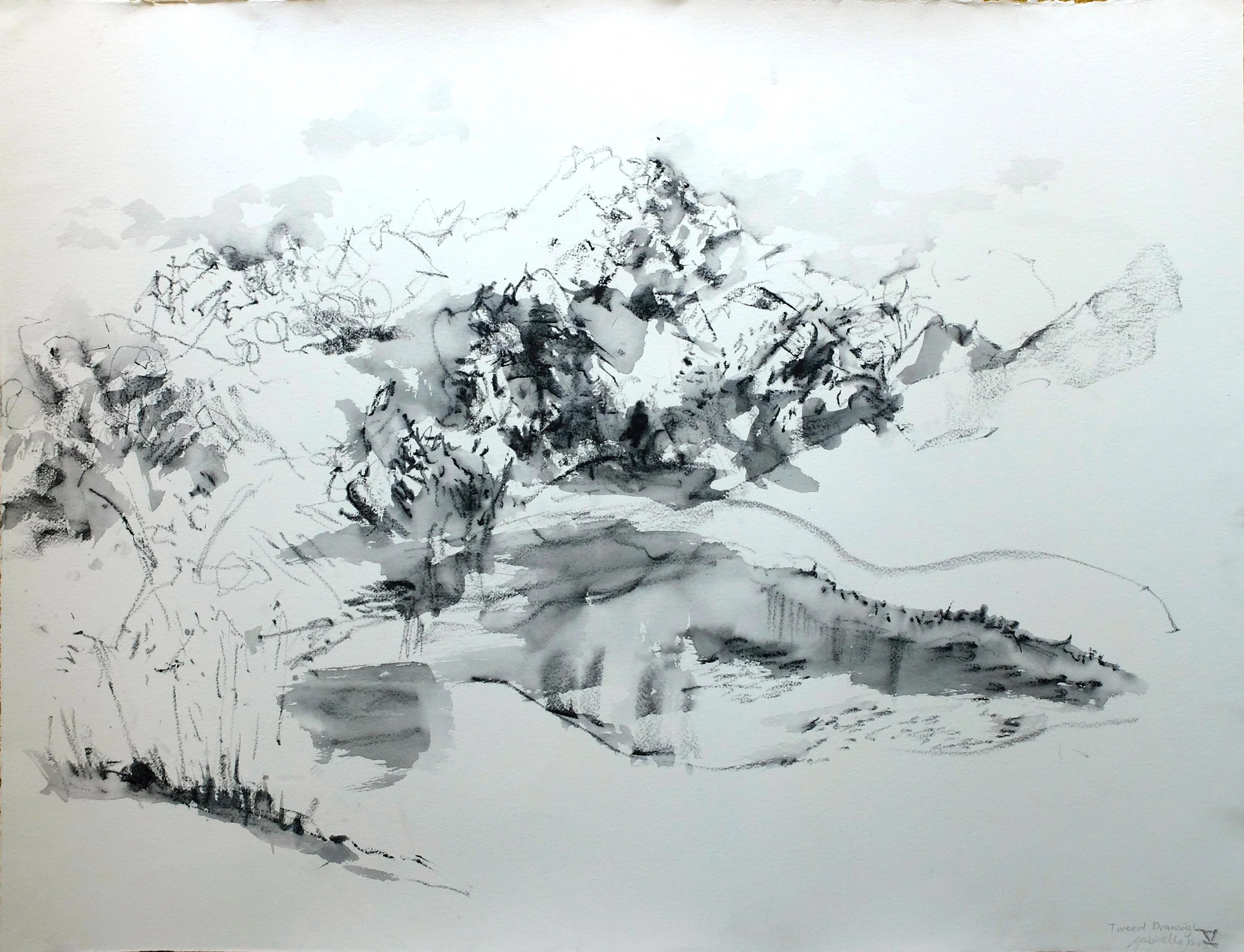 Tweed Drawing V
