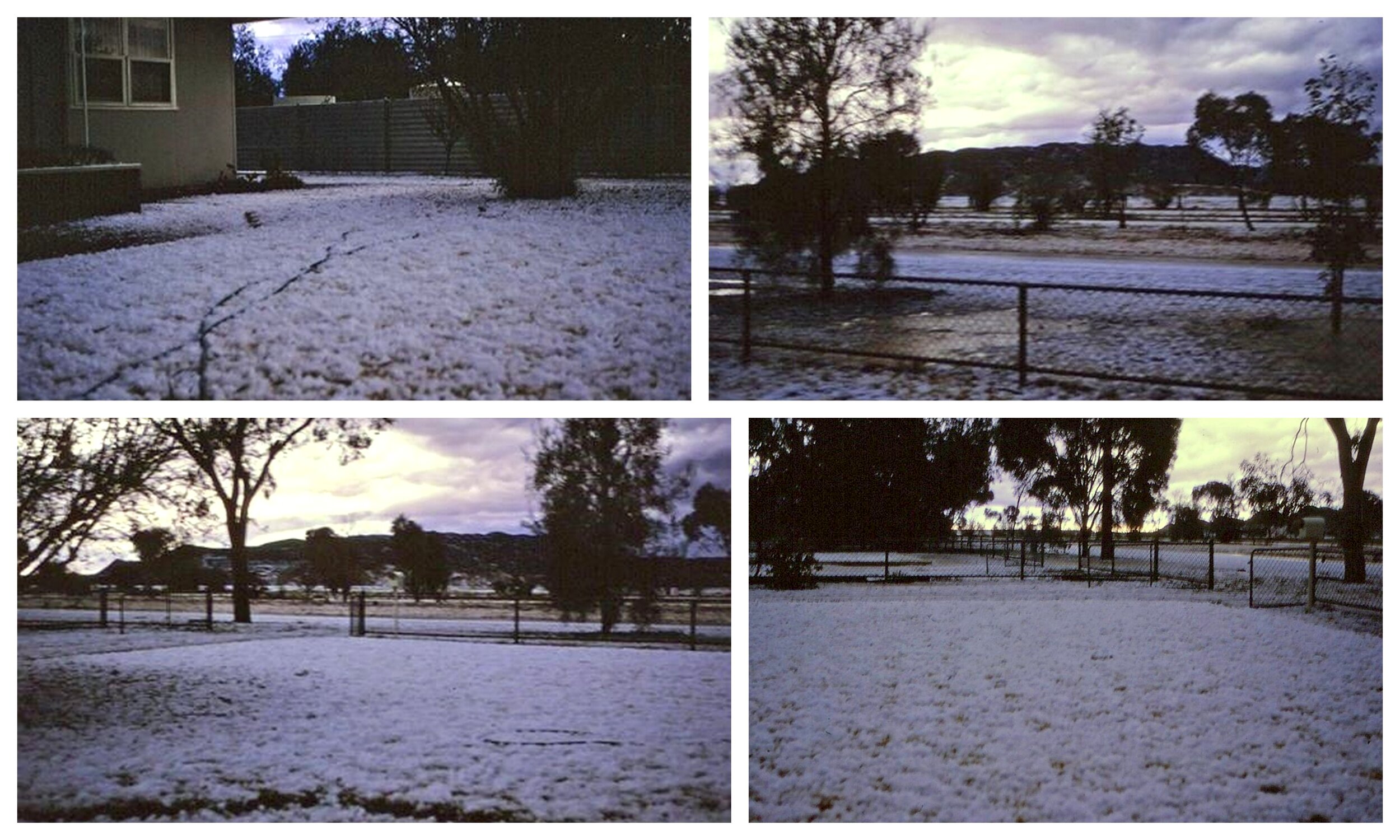 Hailstones, 12 East Terrace, 15 July 1971. supplied by O’Dea family