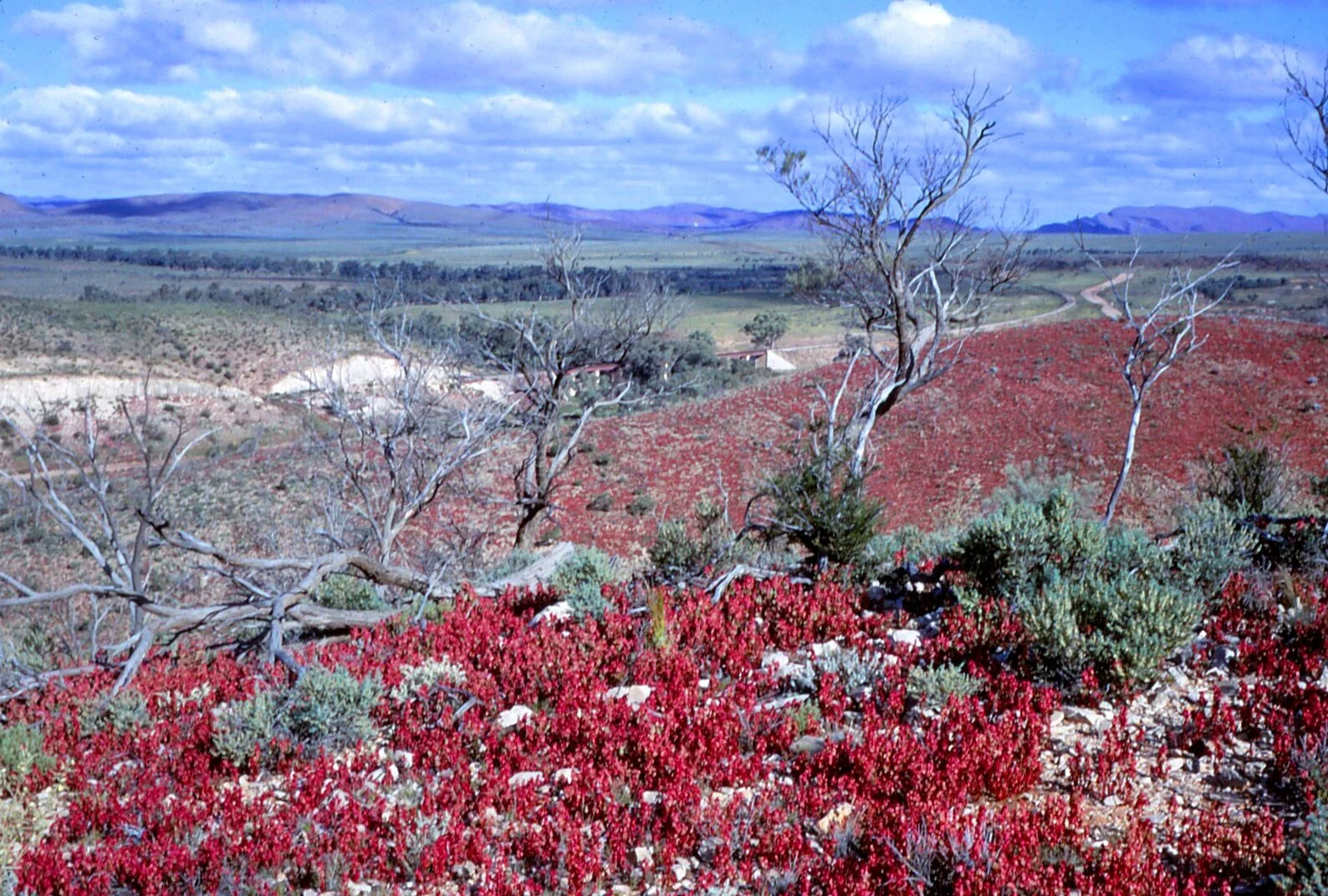 Looking over Emu Creek towards Puttapa hills, 1973 (O’Dea Family Collection)