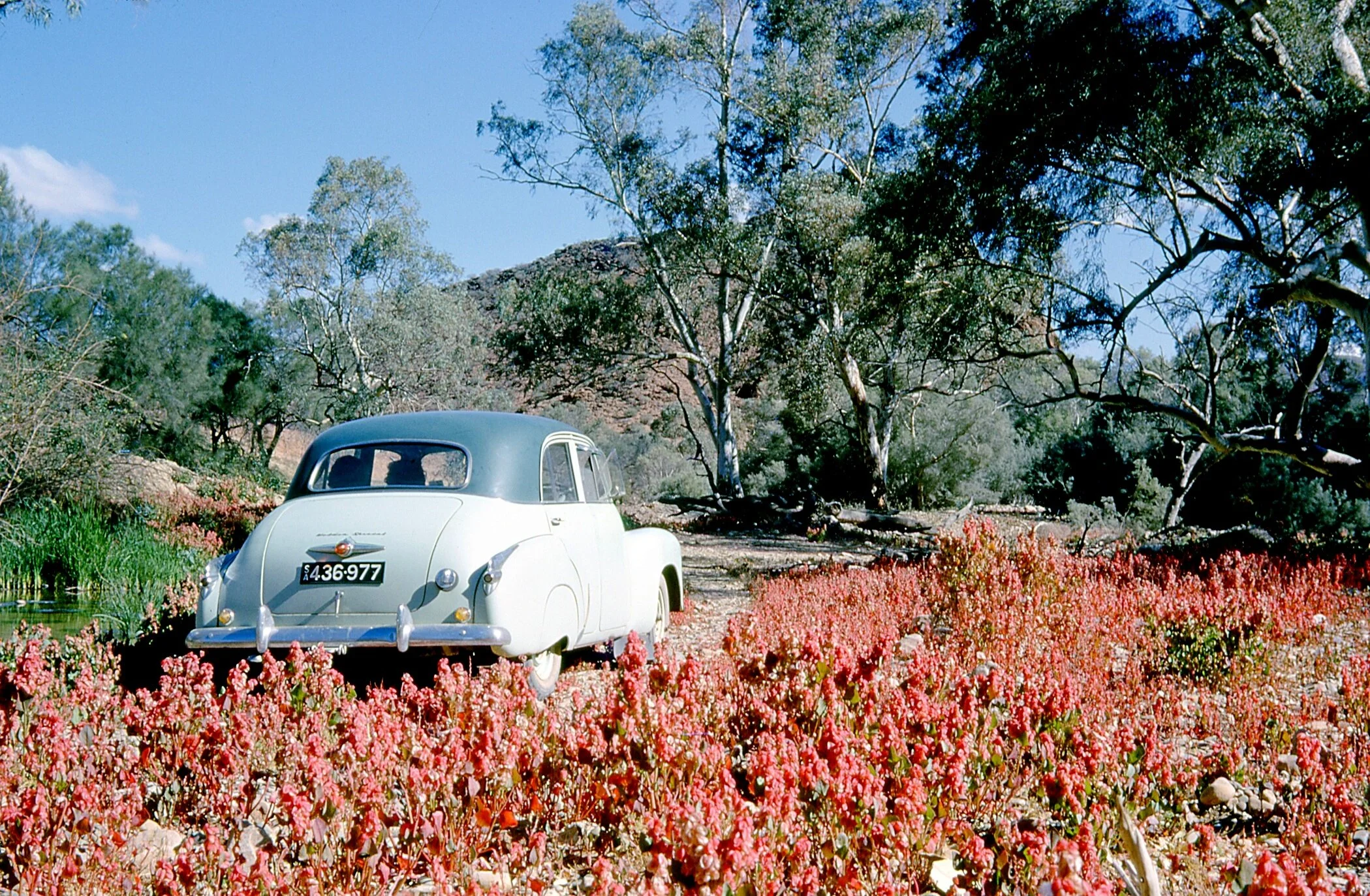 aroona valley - 1962 (donna read)