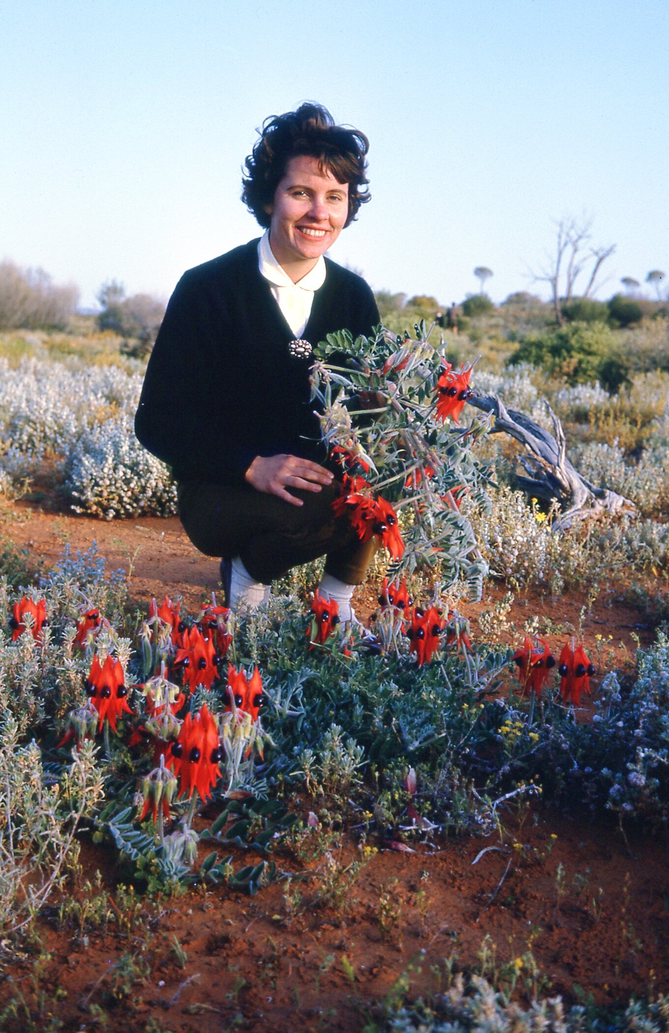 Pat Read - 1962 (Donna Read)