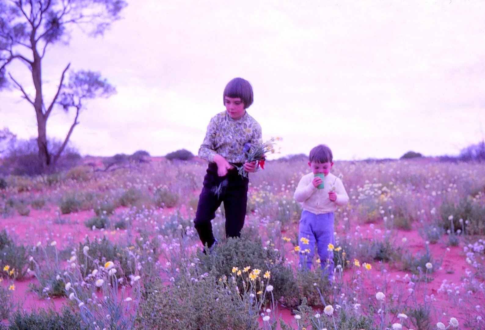 Myrtle Springs sandhills Aug 1968 (O’Dea Family Collection)