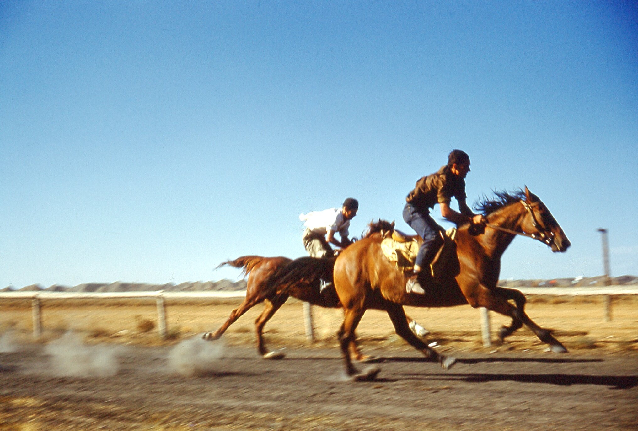 Horse Racing &amp; Gymkhana