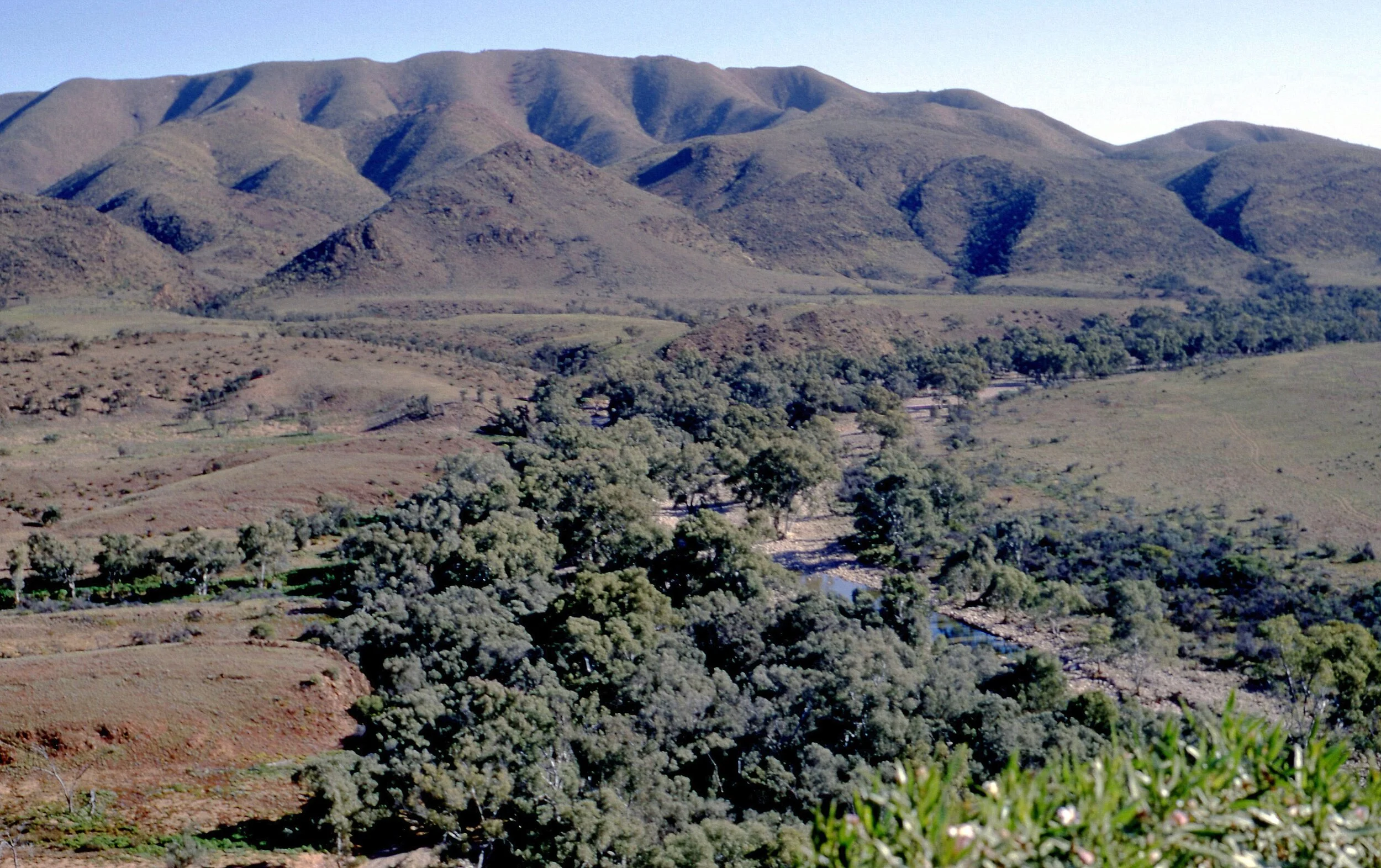 Aroona Creek below dam (O’Dea Family Collection)