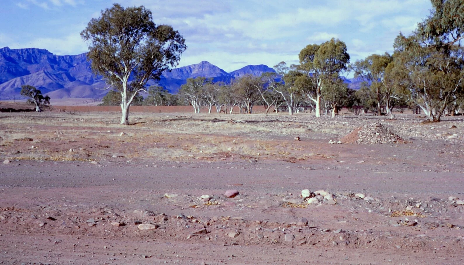 Moralana Creek (O’Dea Family Collection)