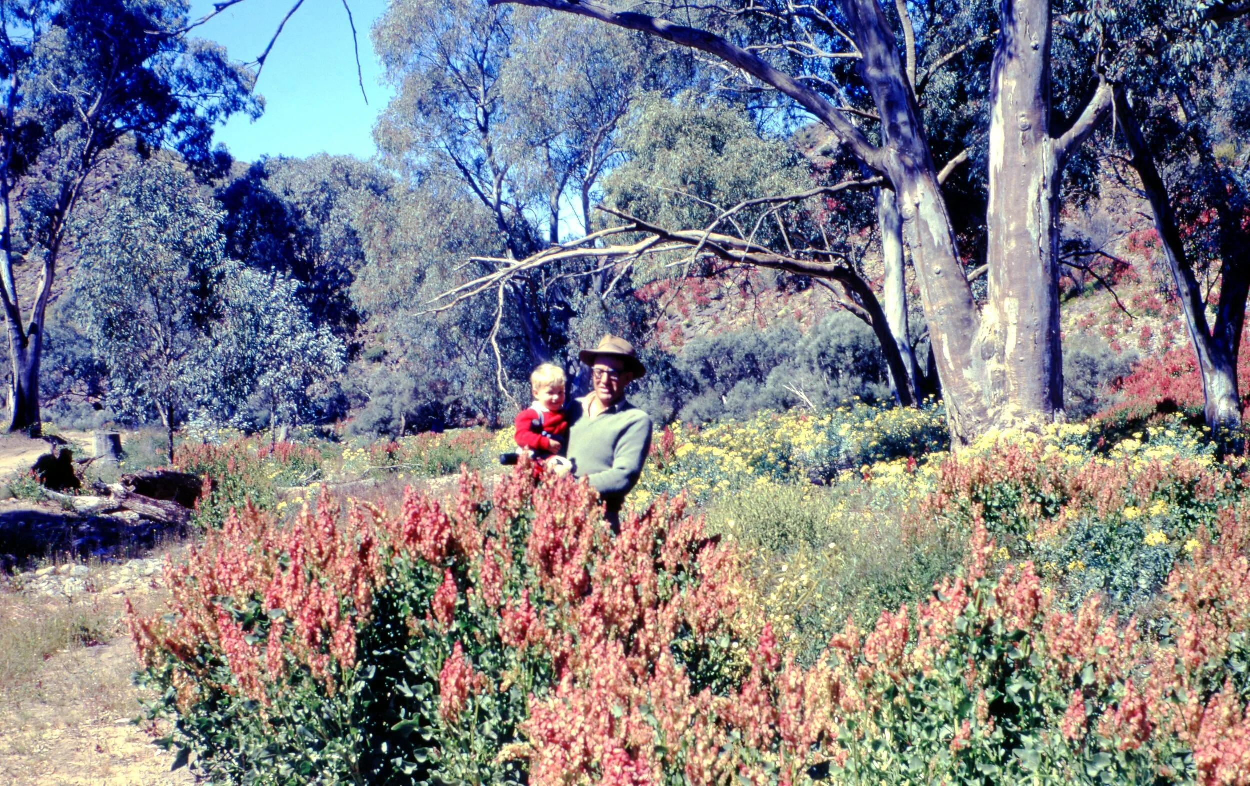 1968 (Malcolm Treloar)