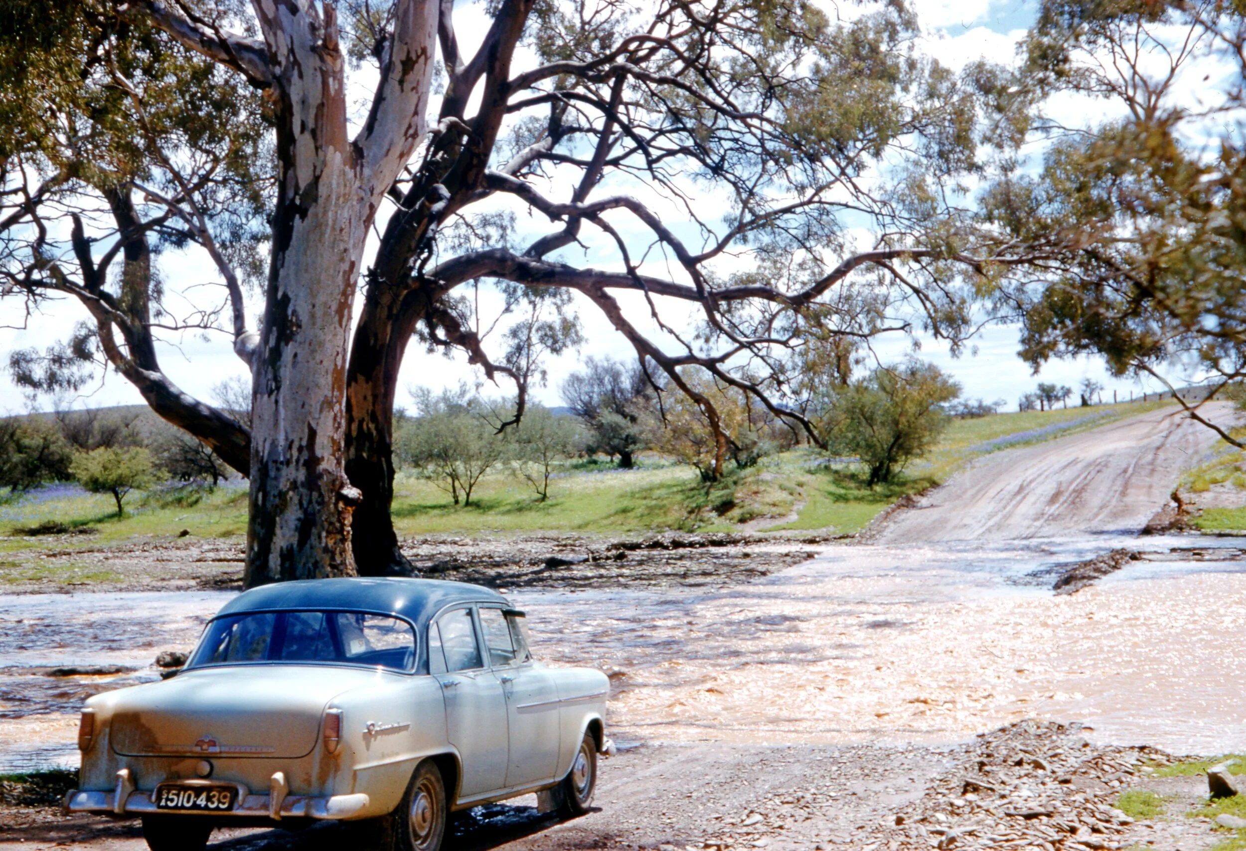 1957 (Malcolm Treloar)