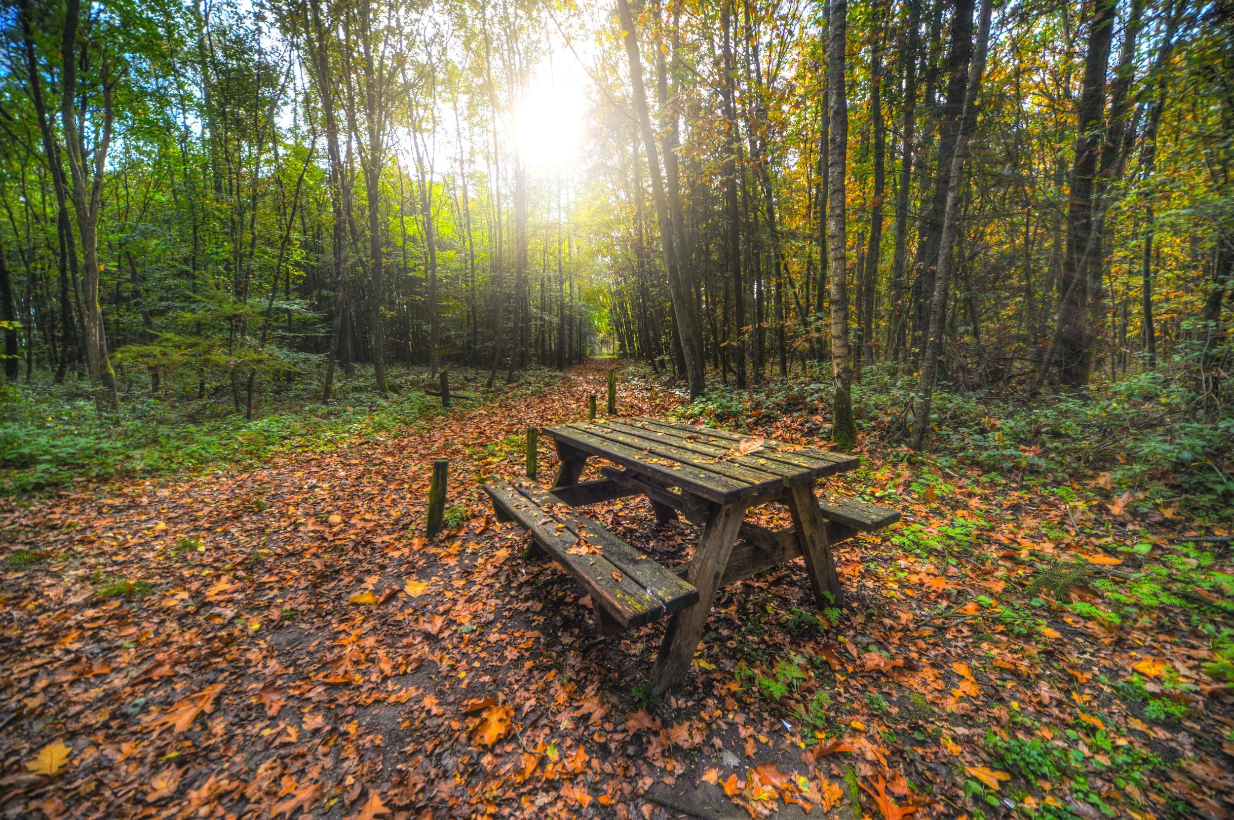 WHY SPENDING TIME WITH THE NATURE WILL HELP YOU LOSE WEIGHT AND FEEL BETTER?