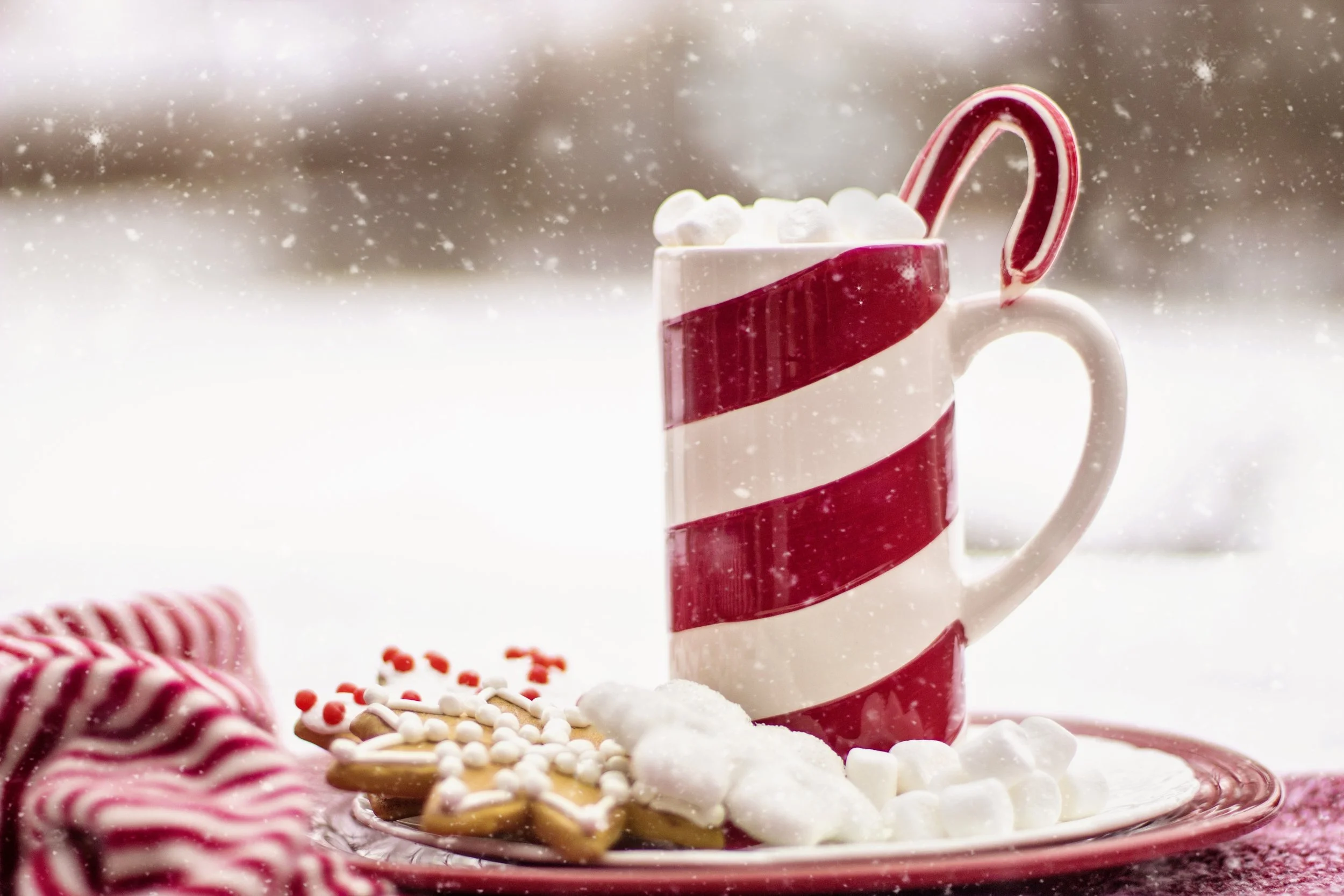 Don’t Want BLOATED TUMMY This Christmas? This One Tip Will Make You FEEL A WHOLE LOT BETTER!