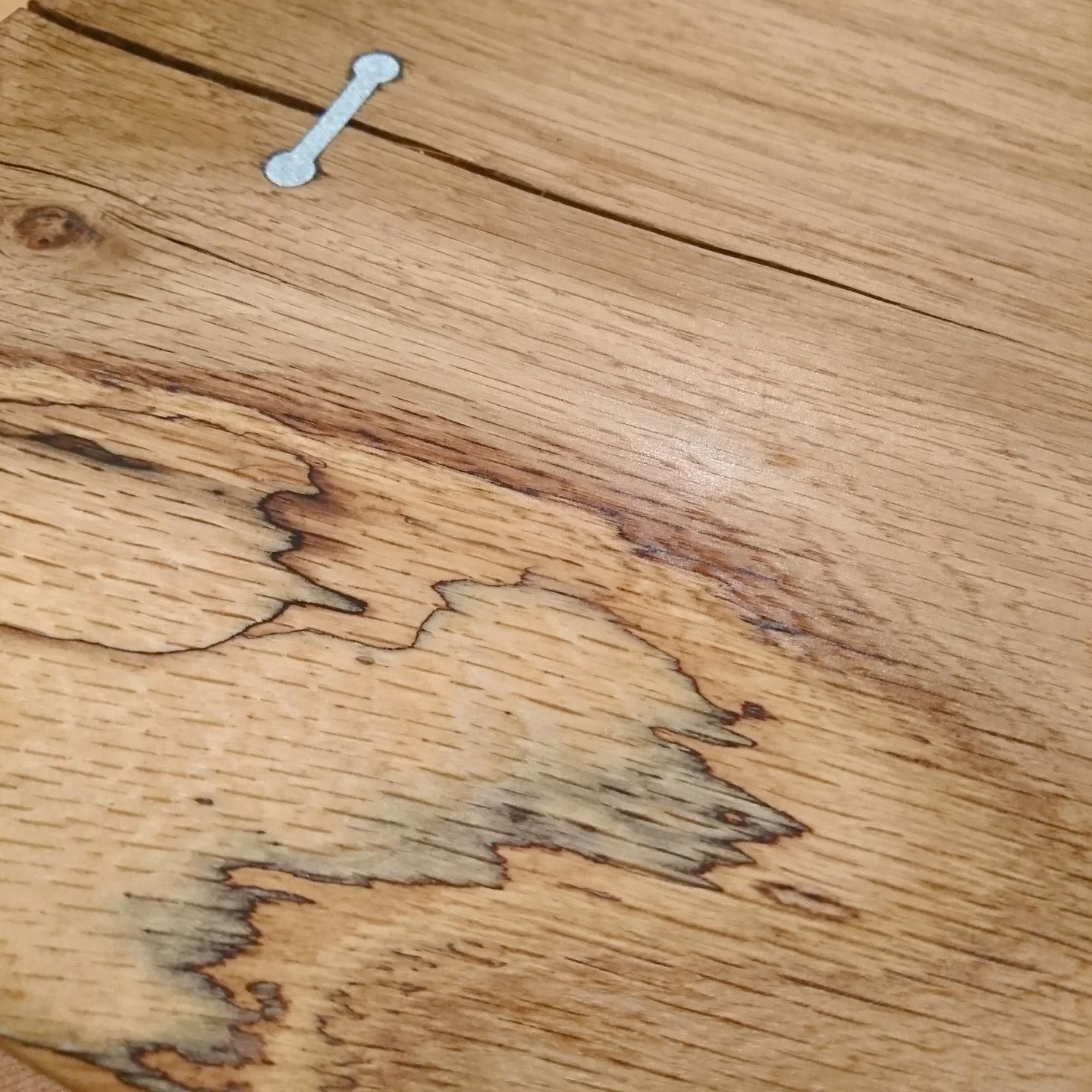storecamera_20180429212218_01.jpg