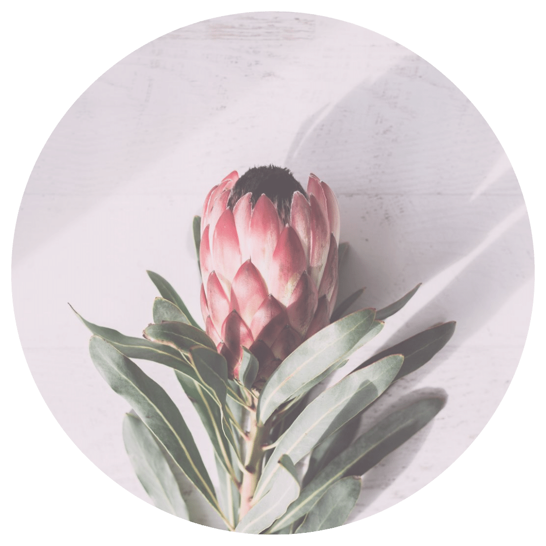 Module: Two: Awakening the Sacred Gate