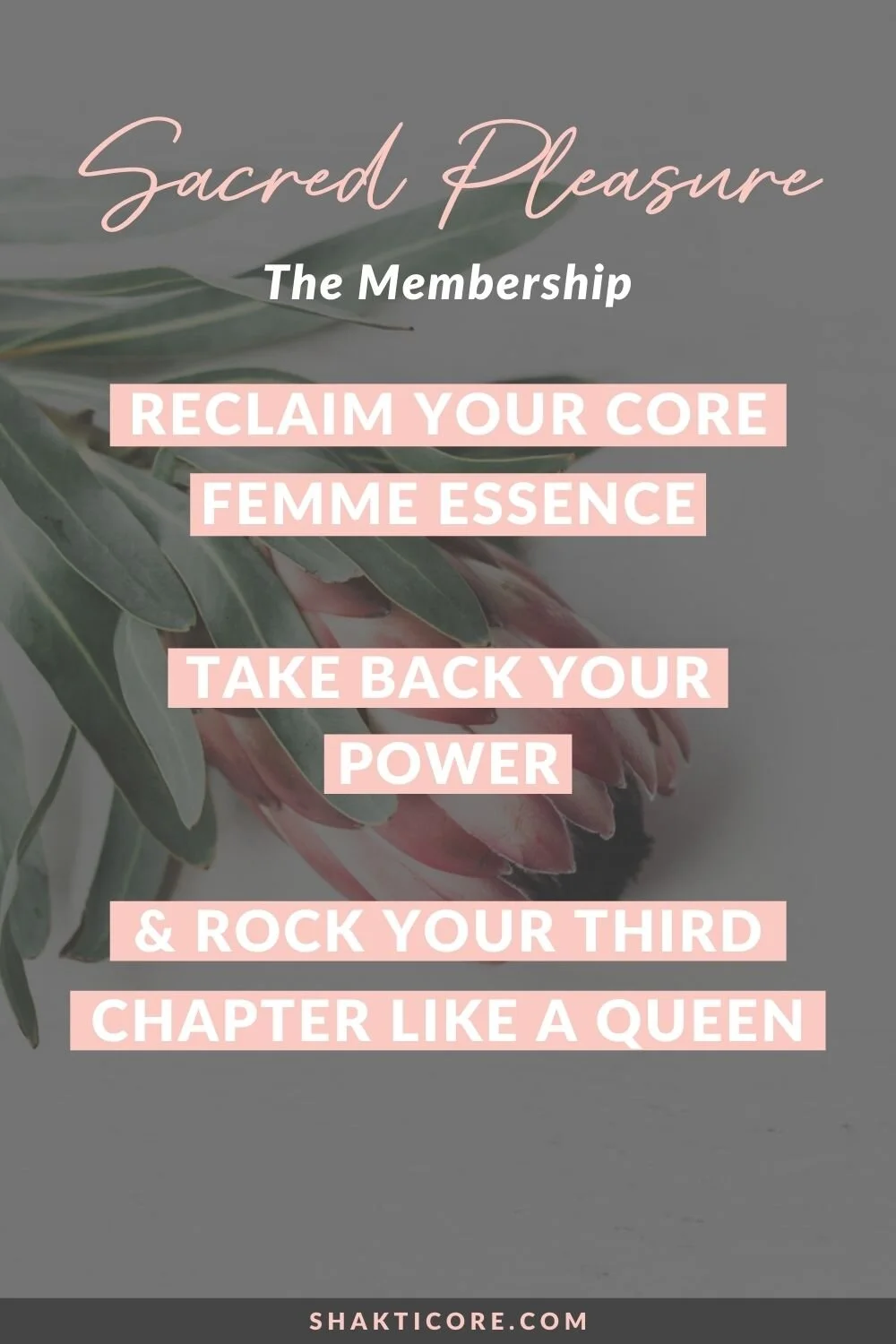 Sacred Pleasure Membership.jpg
