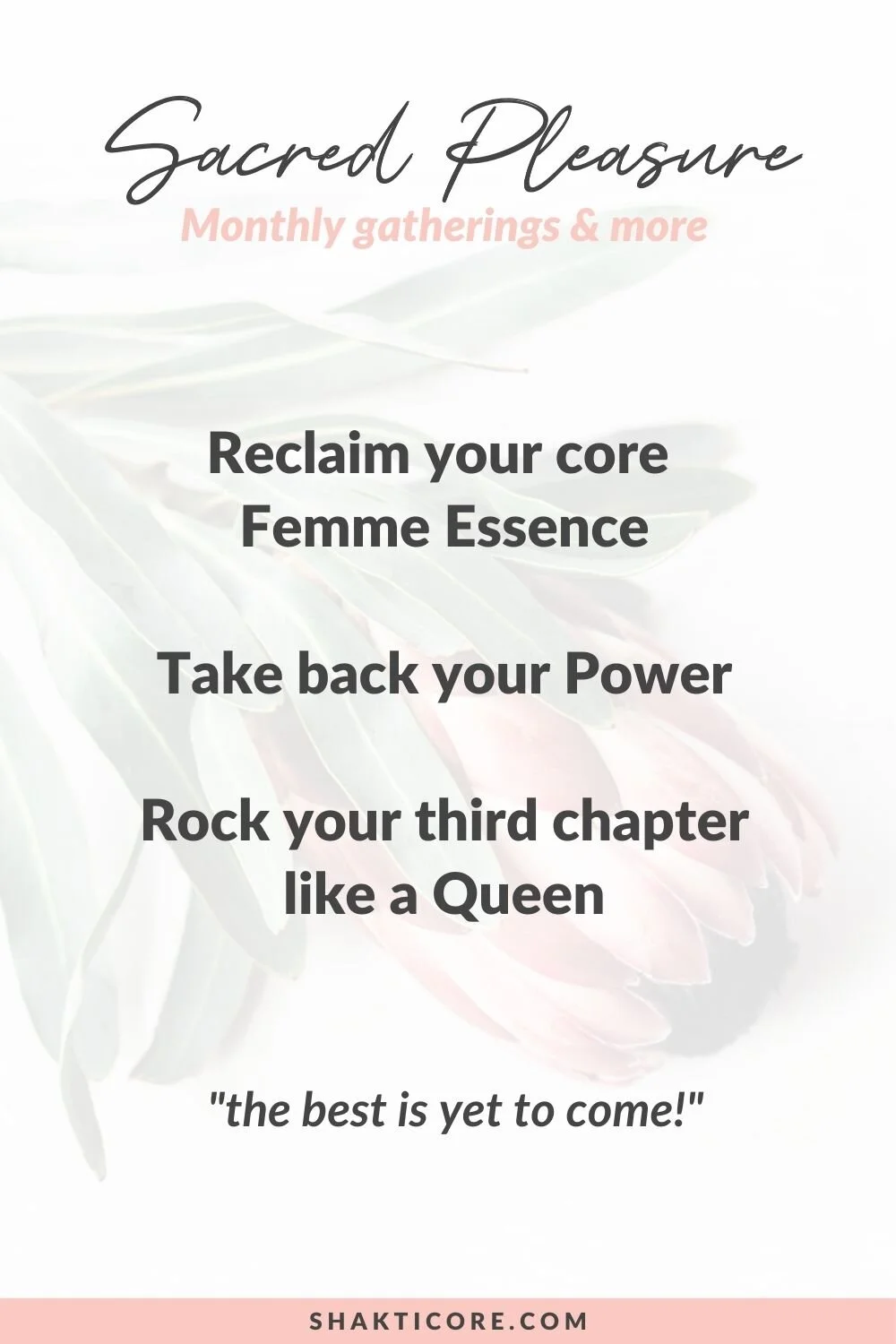 Sexy Menopause.jpg