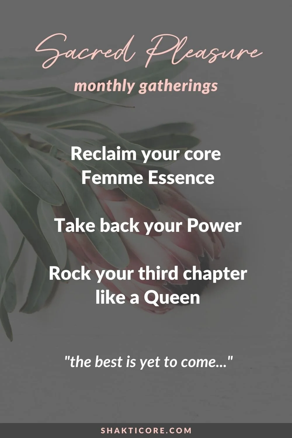 Femme Power.jpg