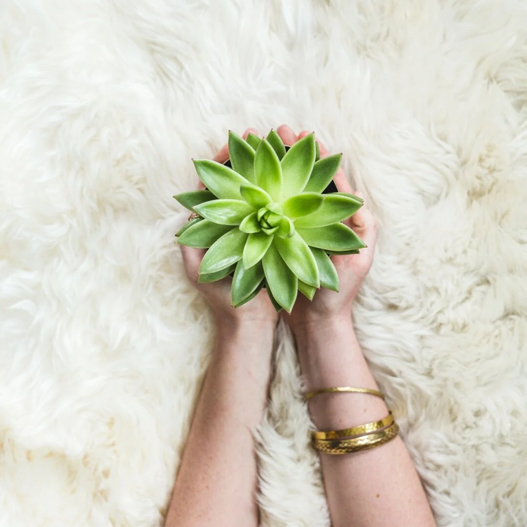 The Secret to Cultivating Lifelong Succulence From the Inside Out