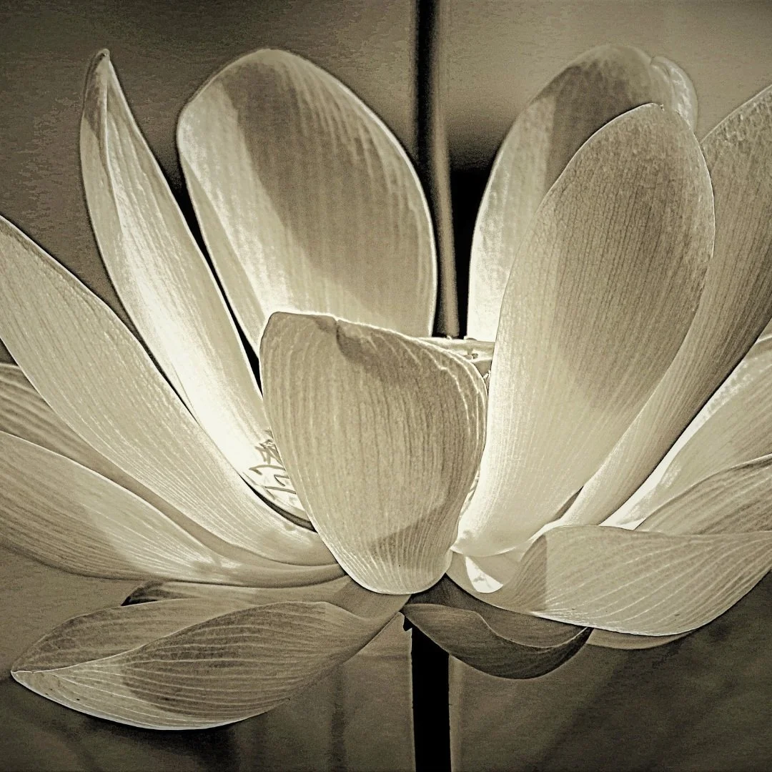 An Ancient Practice to Nourish Your Libido and Cultivate Your Sacred Feminine Energy