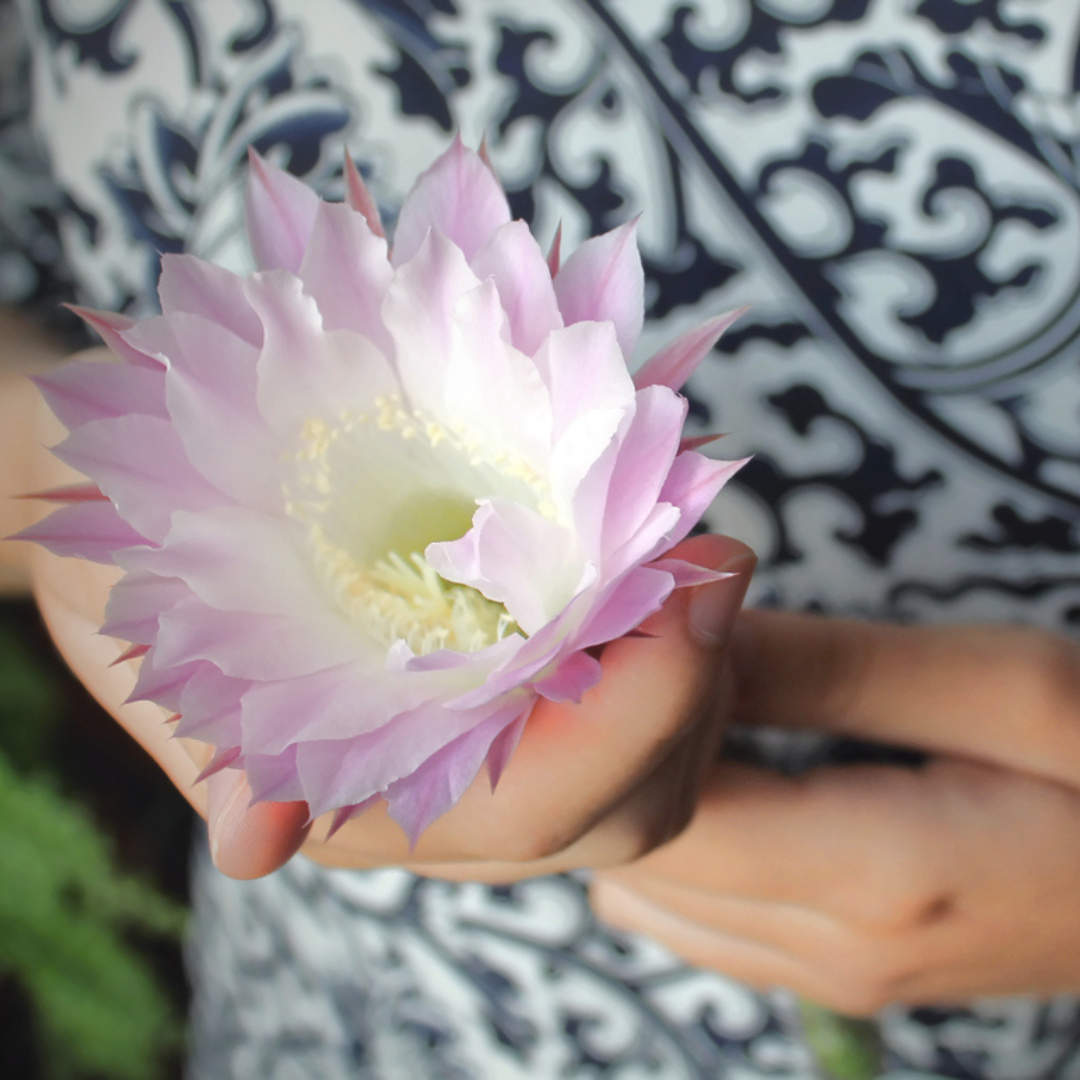 Awakening Your Multi-Orgasmic Powers