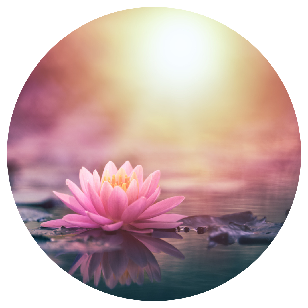 Yoni Wand Healing Part Two/Cervical Healing