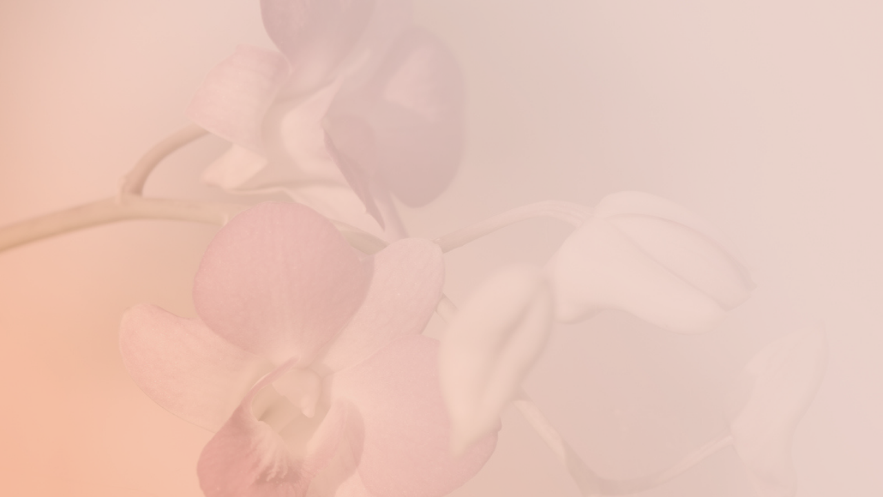 Blog Thumbnails (13).png